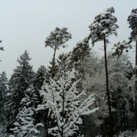 Retzberghütte 01-17 (6)